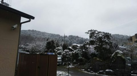京都産業大学周辺の天気は雪でした ひだち教室